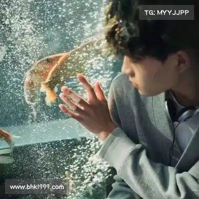 强曦好